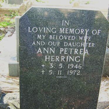 HERRING Ann Petrea 1946-1972