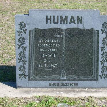 HUMAN Dawid -1967