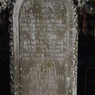 LEARY Catherine -1901 :: LEARY Margaret Jane -1895 :: LEARY John -1902 :: LEARY Ellen -1914