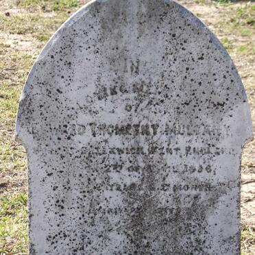 MULCAHY Edward Thomethy -1896