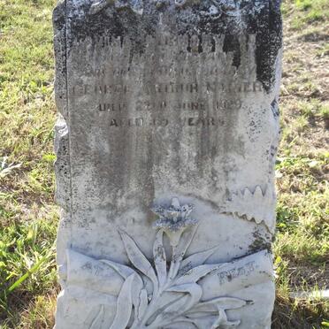 NAPIER George Arthur -1929