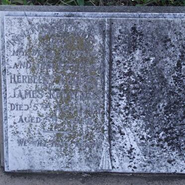 REYNOLDS Herbert Aubrey James -1944