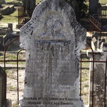 SWANN John -1900 :: MURRAY Thomas W. -1900 :: JENKINS Rieta M. -1900