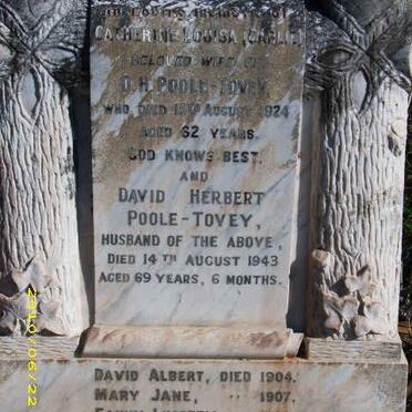 TOVEY David Herbert, Poole -1943 &amp; Catherine Louisa -1924 :: POOLE-TOVEY David Albert 1904
