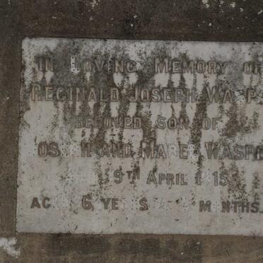 WASPE Reginald Joseph -1915