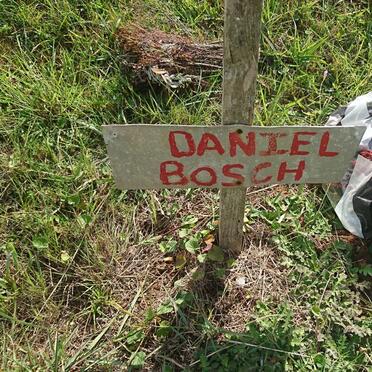 BOSCH Daniel