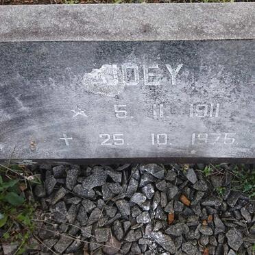 VUUREN Hannes, Jansen van 1901-1991 &amp; Joey 1911-1975