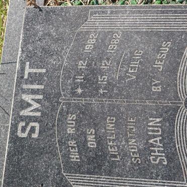 SMIT Shaun 1982-1982