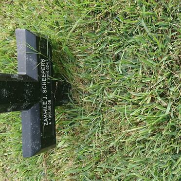 SCHEEPERS Zakhile J. 1958-2015