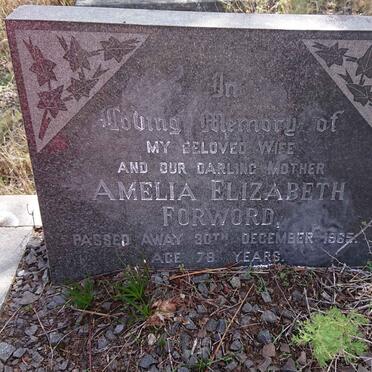 FORWORD Amelia Elizabeth -1965