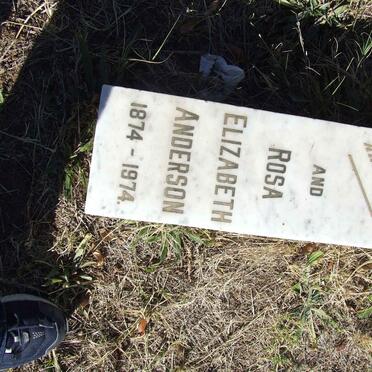 ANDERSON Arthur 1870-1927 &amp; Rosa Elizabeth 1874-1974