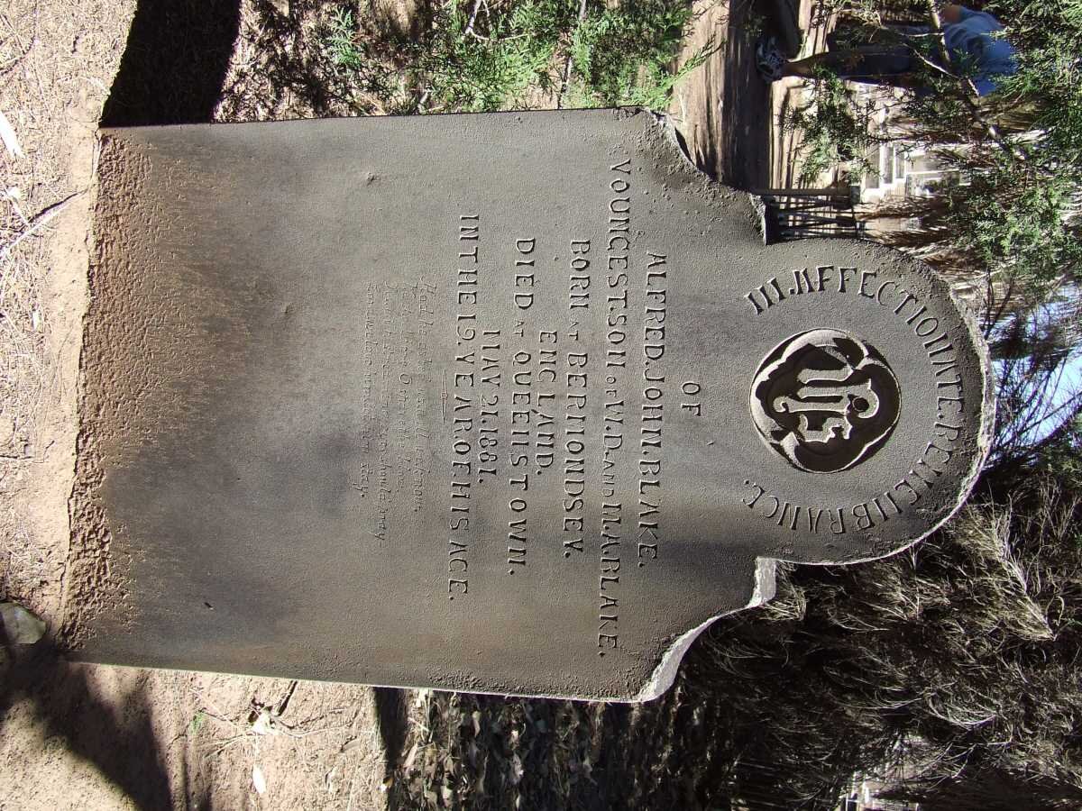 BLAKE Alfred John -1881