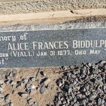 BIDDULPH Alice Frances nee VIALL 1877-1962