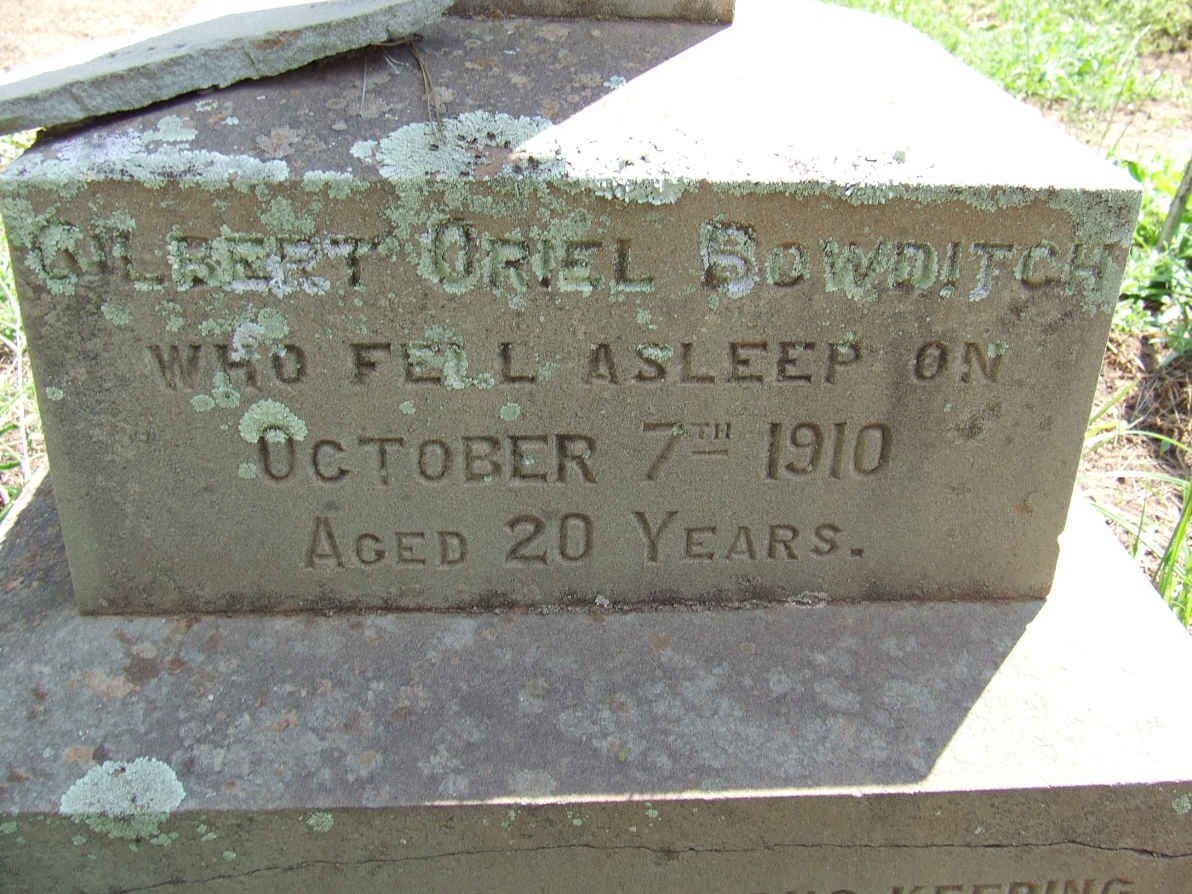 BOWDITCH Gilbert Oriel -1910