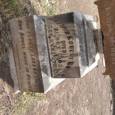 BOWIE Arthur Ernest -1903