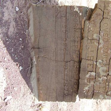 BELL Evelyn 1877-1879