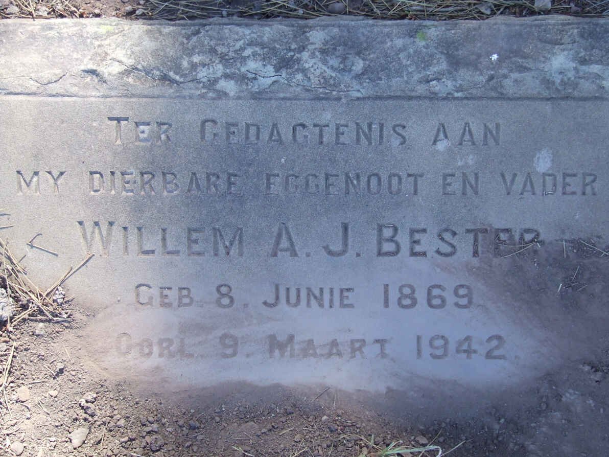 BESTER Willem A.J. 1869-1942