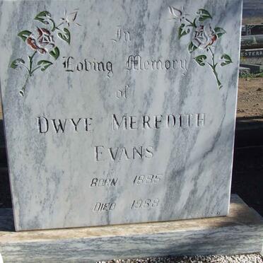 Ev - Surnames starting with the letters Ev