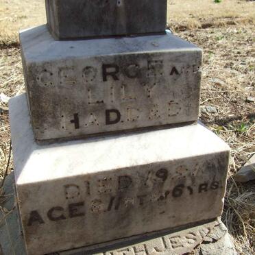 HADDAD George -1921 :: HADDAD Lily -1921