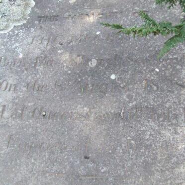 McGIBBON J.H.C. 1828-1971