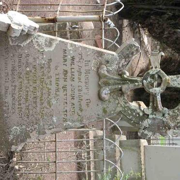 NETTELTON Thomas -1868 :: NETTELTON ? ?  1870-1871 :: NETTELTON Thomas Frederick 1871-1872