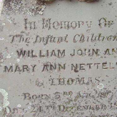 NETTELTON Thomas 1868-1868 :: NETTELTON Hugh Duffy 1870-1871 :: NETTELTON Thomas Frederick 1871-187?