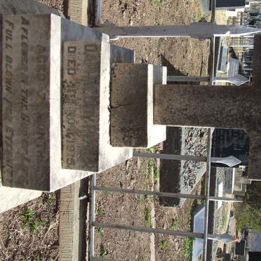 PETER Daphne Joy -1915