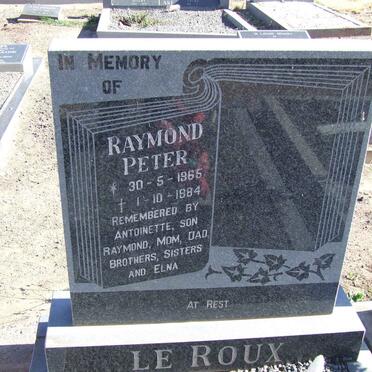 ROUX Raymond Peter, le 1965-1984
