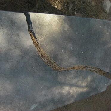 STAPLES Charles Wesley 1831-1862 