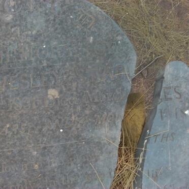 STAPLES Charles Wesley 1831-1862 