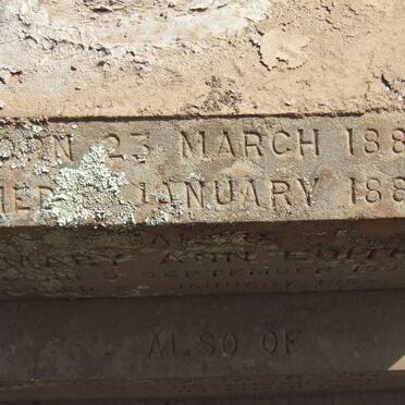 TRENNERY Lydia Mabel 1880-1881