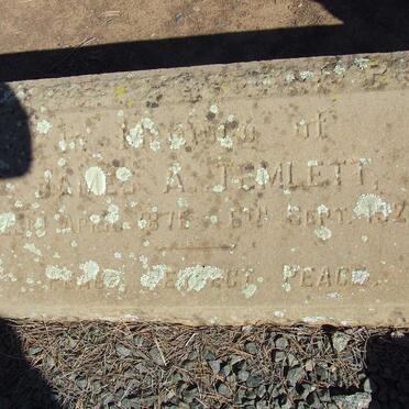 TEMLETT James A. 1871-1923