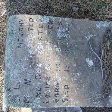 Wh - Surnames starting with the letters Wh