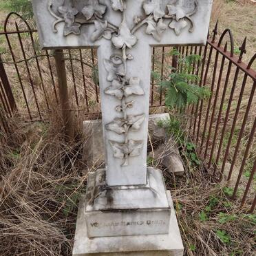 DIBB William Ma? 1865-19?