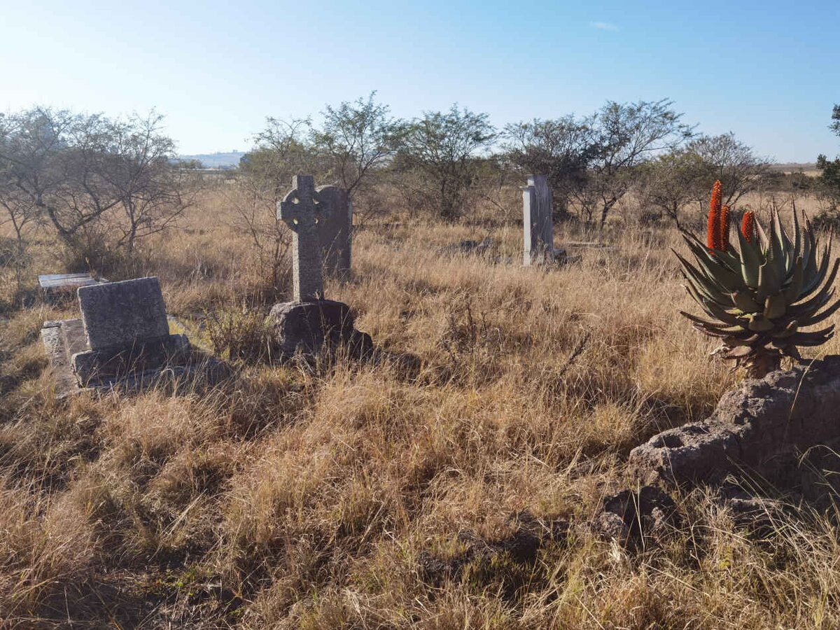 3. Overview / Oorsig