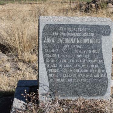 NIEUWENHUIS Anna Jacomina nee BOTHA 1866-1950