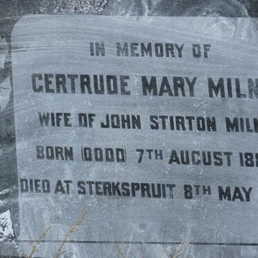 MILNE Gertrude Mary nee DODD 1880-1963