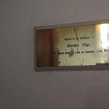 HITGE Florence -1951