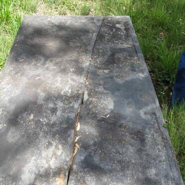 WALSH Mary Ellen -1861