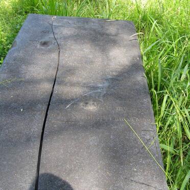 HOWARD Susannah Brant -1865