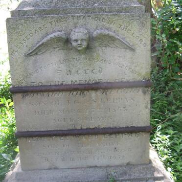 LEPPAN Henry Edward 1855-18?4 :: LEPPAN Edward John Gregory -1865