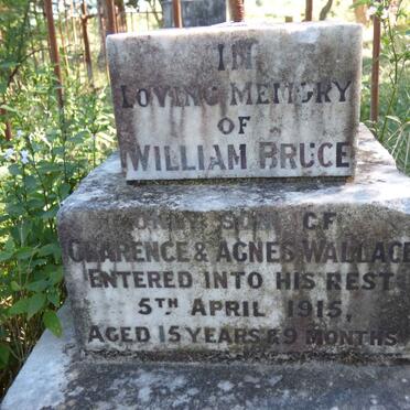 WALLACE William Bruce -1915