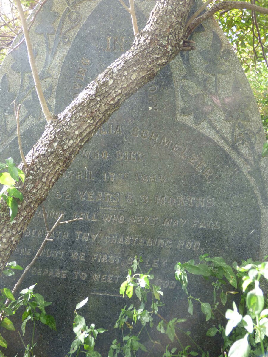 SCHMELZER ??lia -1889