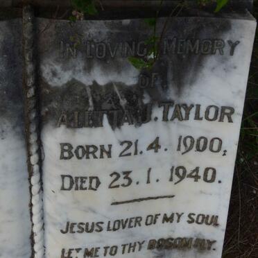 TAYLOR Aletta J. 1900-1940