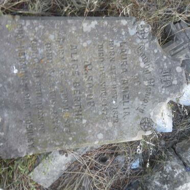 OEHLEY Laura Amelia 1872-1873 :: OEHLEY Alice Bertha 1875-1878