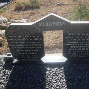 P - Vanne :: Surnames - P