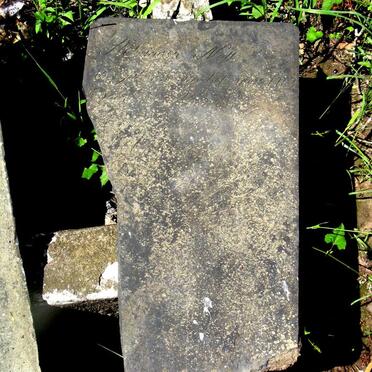 NELL Adriaan 1768-1833