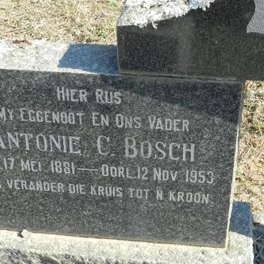 BOSCH Antonie C. 1881-1953