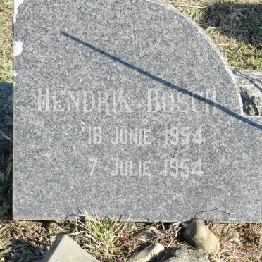 BOSCH Hendrik 1954-1954