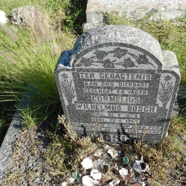 BOSCH Cornelius Wilhelmus 1879-1946